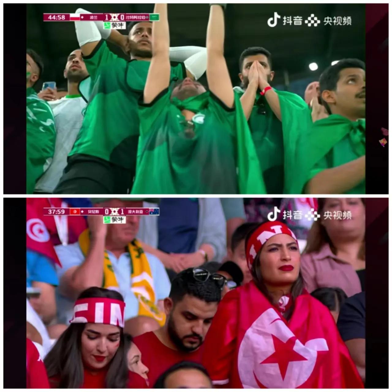 卡塔尔世界杯决赛深度解析,如何评价卡塔尔在世界杯的表现