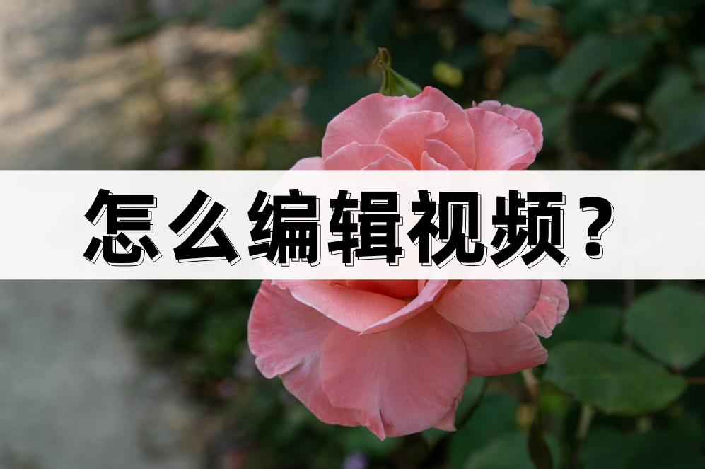 怎么编辑视频？视频编辑的常见方法
