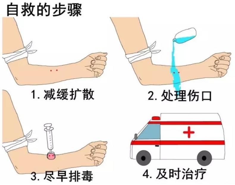 被毒蛇咬伤用中草药治好病例,被蛇咬伤用什么草药
