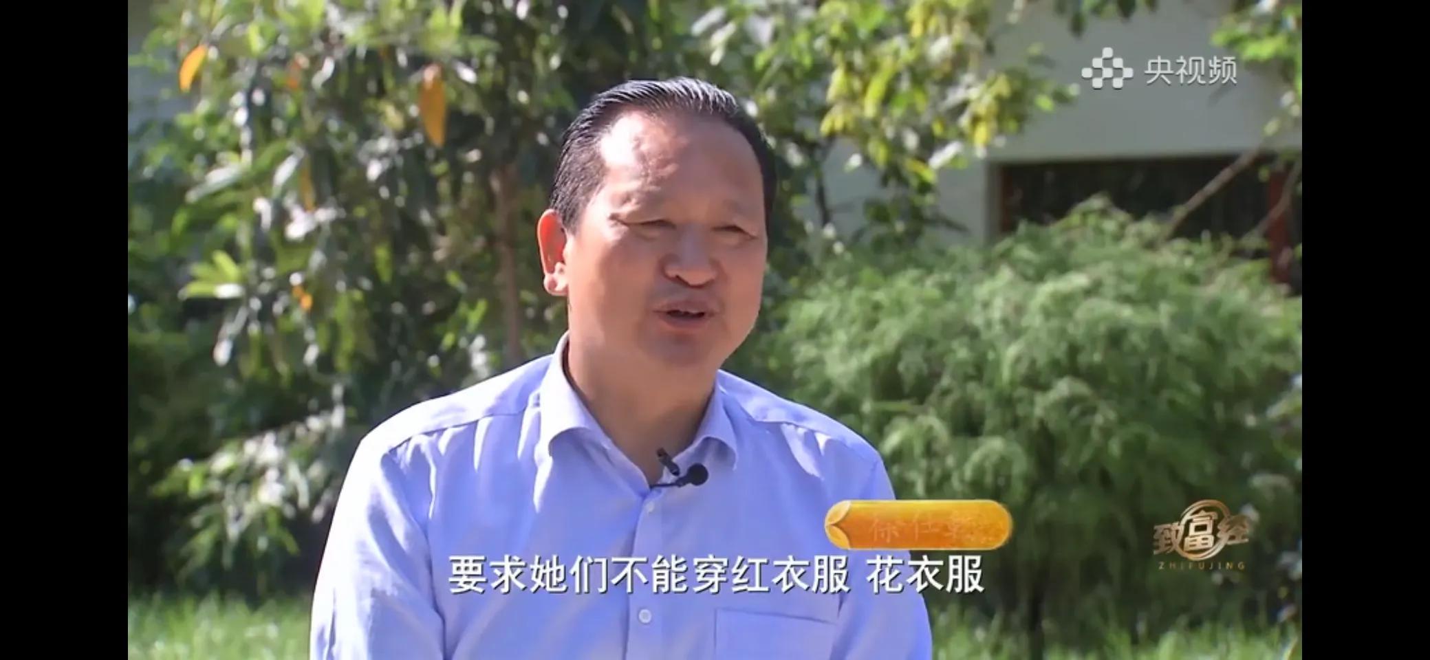 10万多只鸡养鸡场一年能挣多少,回村搞农业养殖一只鸡卖一万