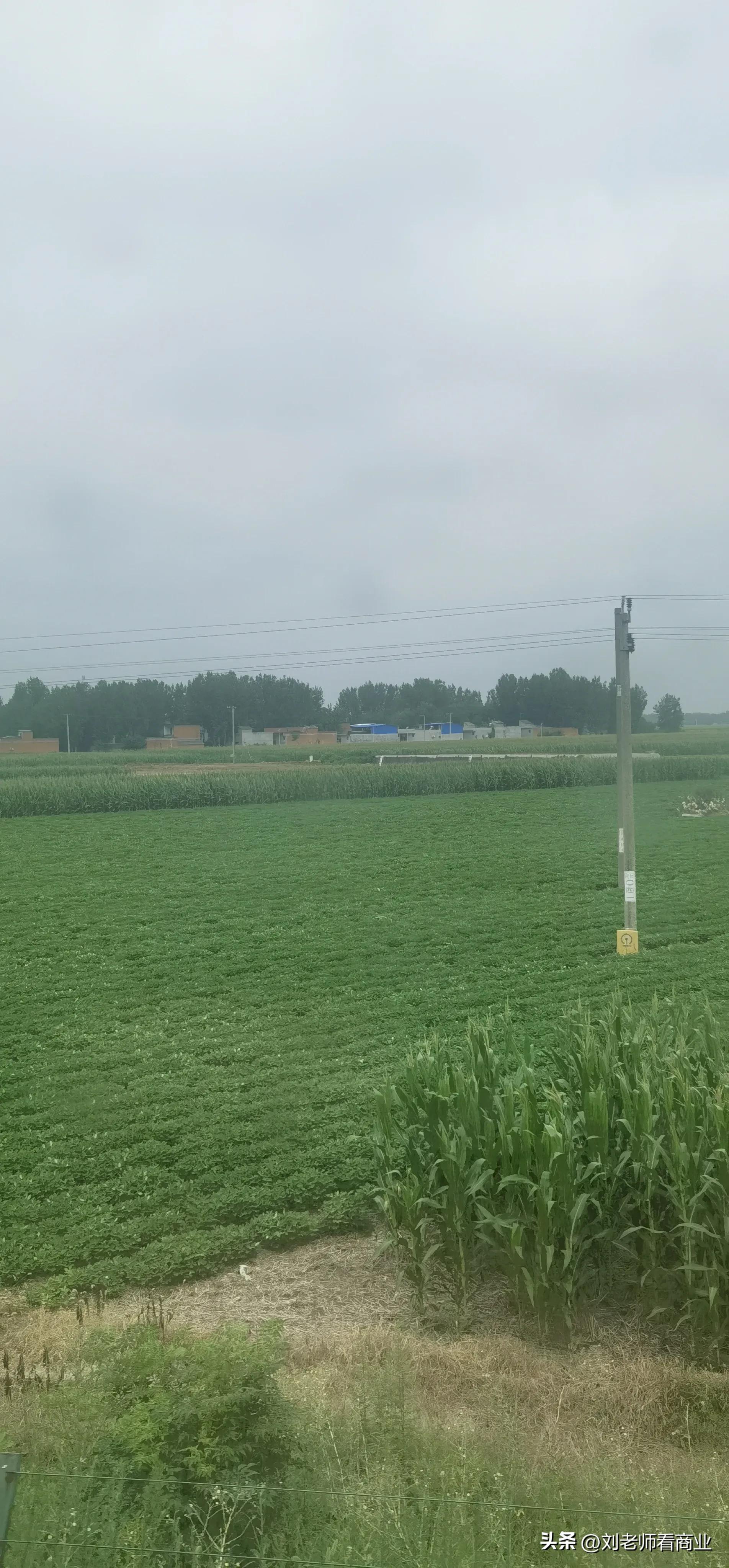 深圳至洛阳k536途经站点,从上海到洛阳k738列车