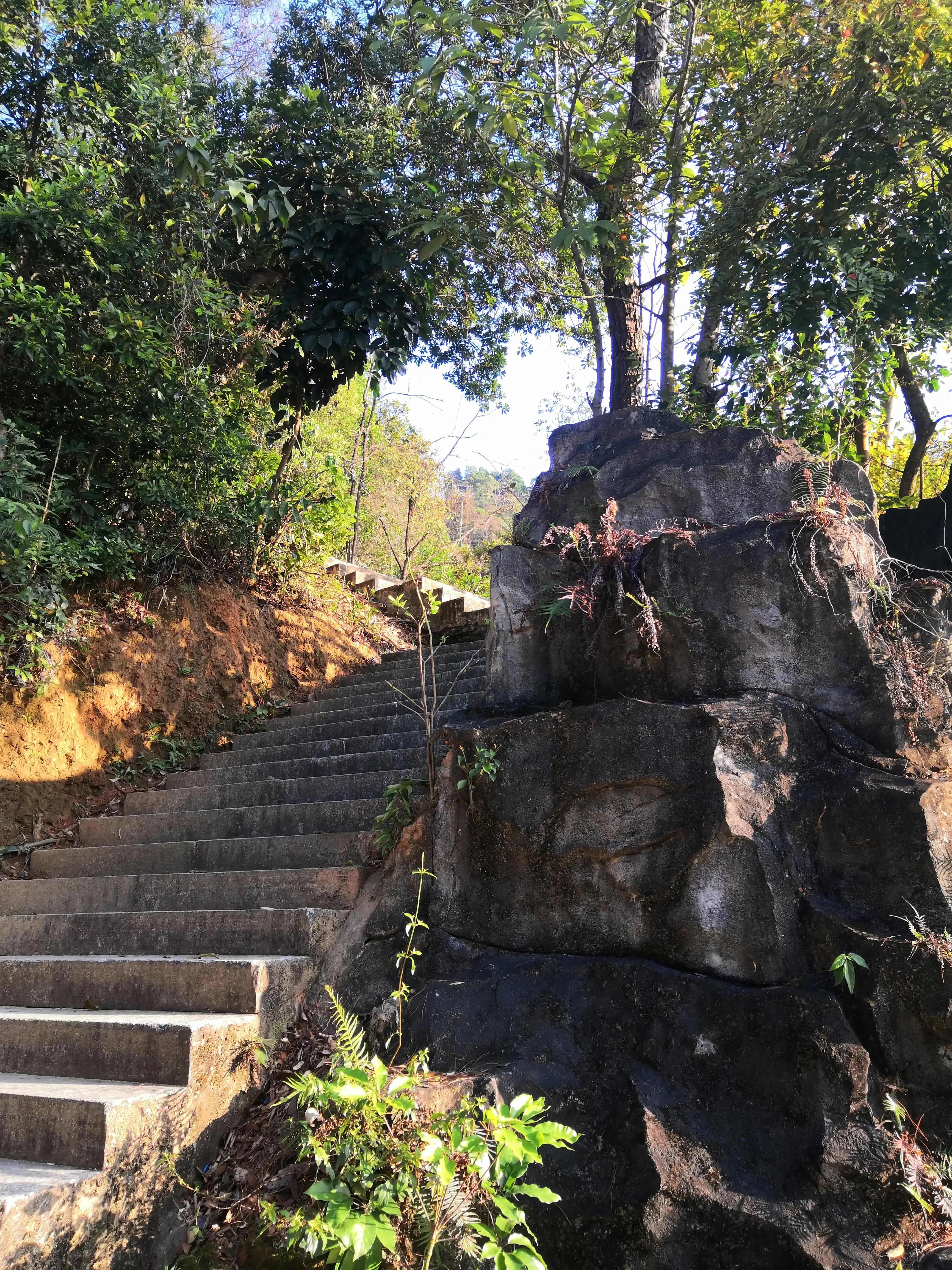 求水山公园,求水山公园游乐场