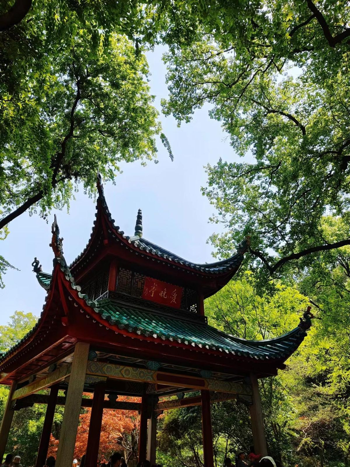 玩转长沙攻略,带你玩遍长沙攻略