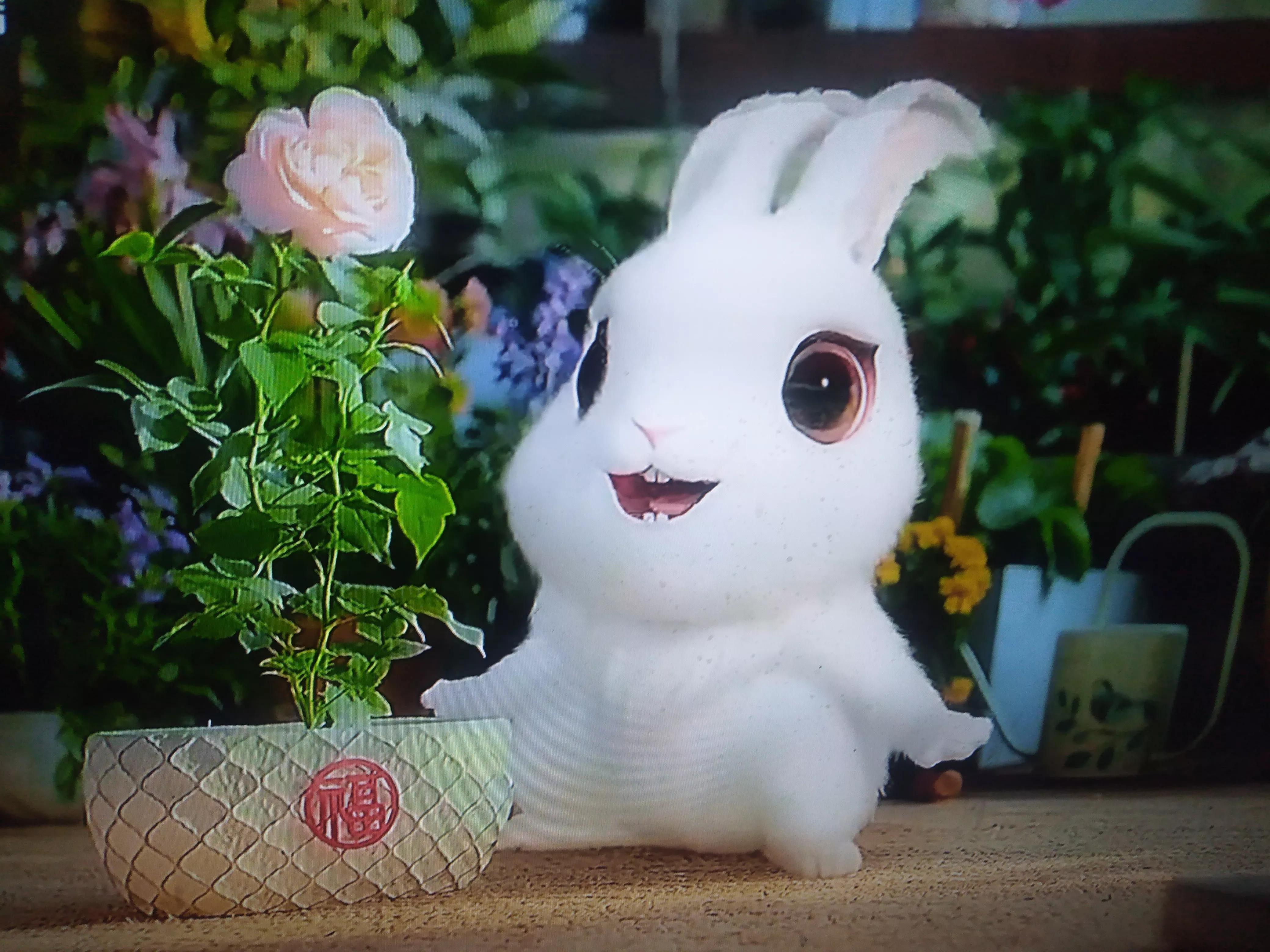 造名师，不如多多培养良师！