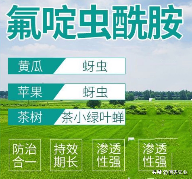 蚜虫专用速效杀虫剂,蚜虫最好的杀虫剂是什么