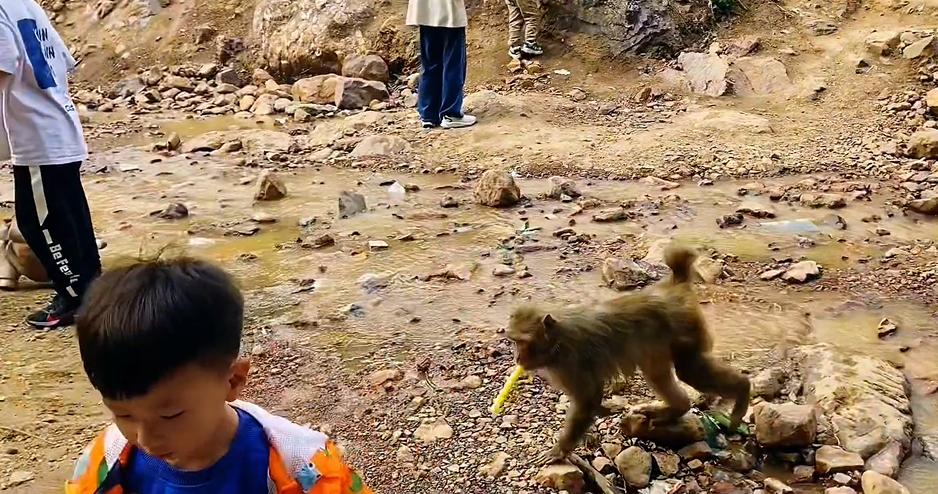 郑州出发十一冷门自驾游,郑州亲子游十大必去景点免费的
