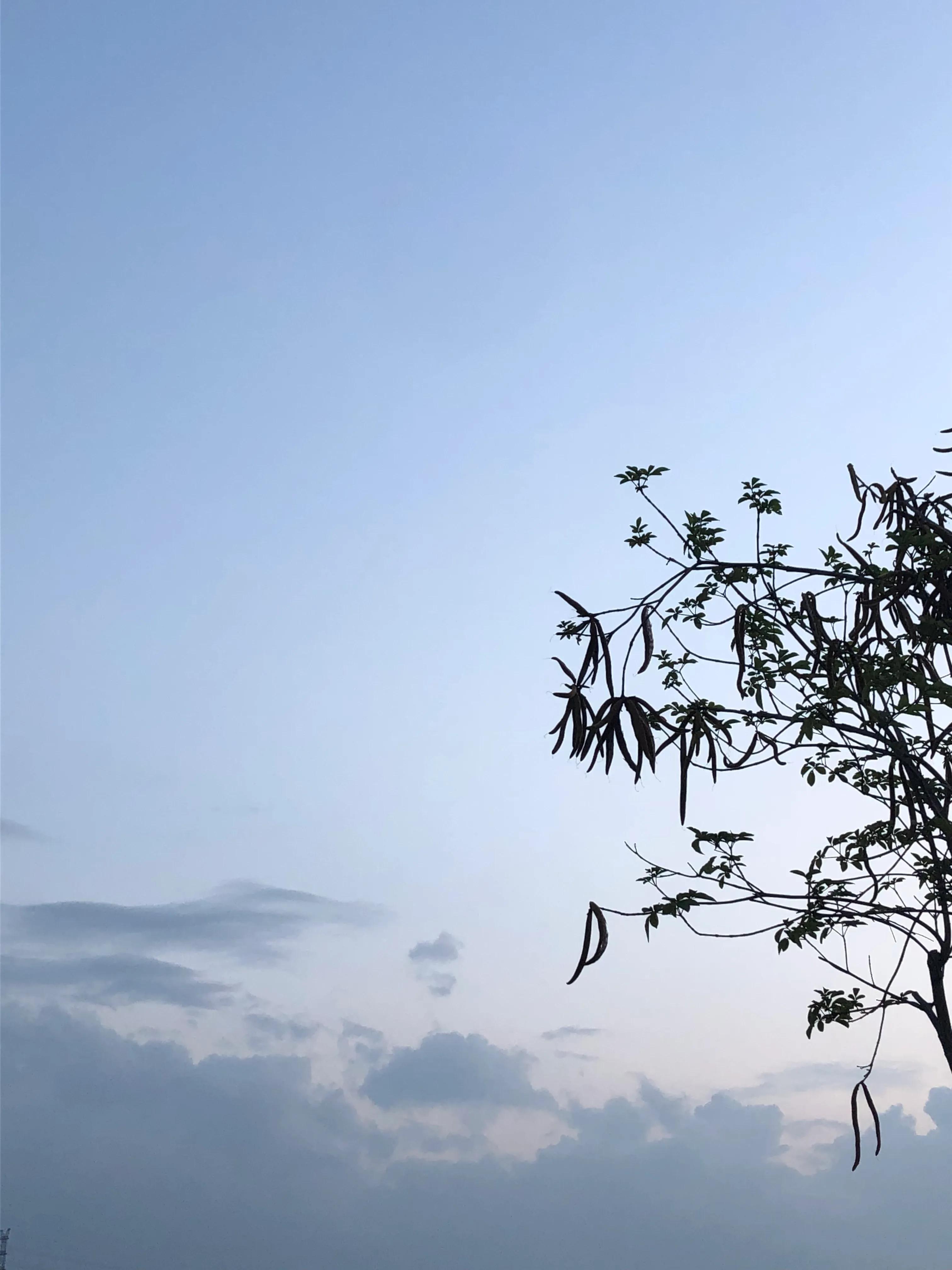 让创意落地,如何让你的创意更有黏性