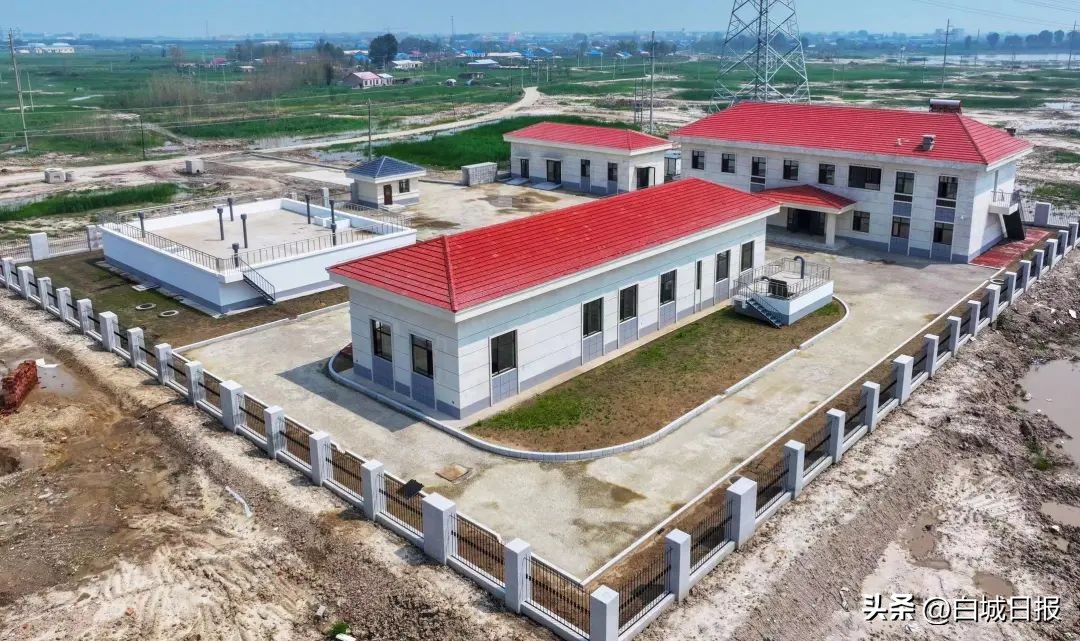 “绿”动大安“氢”舞飞扬!大安经济开发区清洁能源产业发展走笔