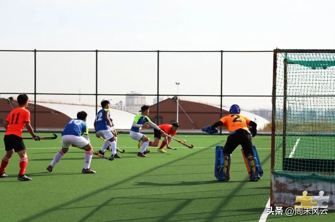 体育小贴士丨一起来了解曲棍球运动的技术与规则