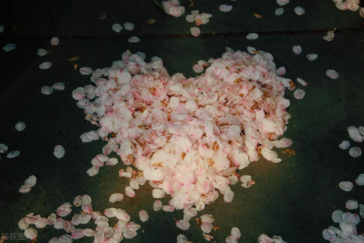 人生最值得的五大投资视频,人生最值得的五种投资