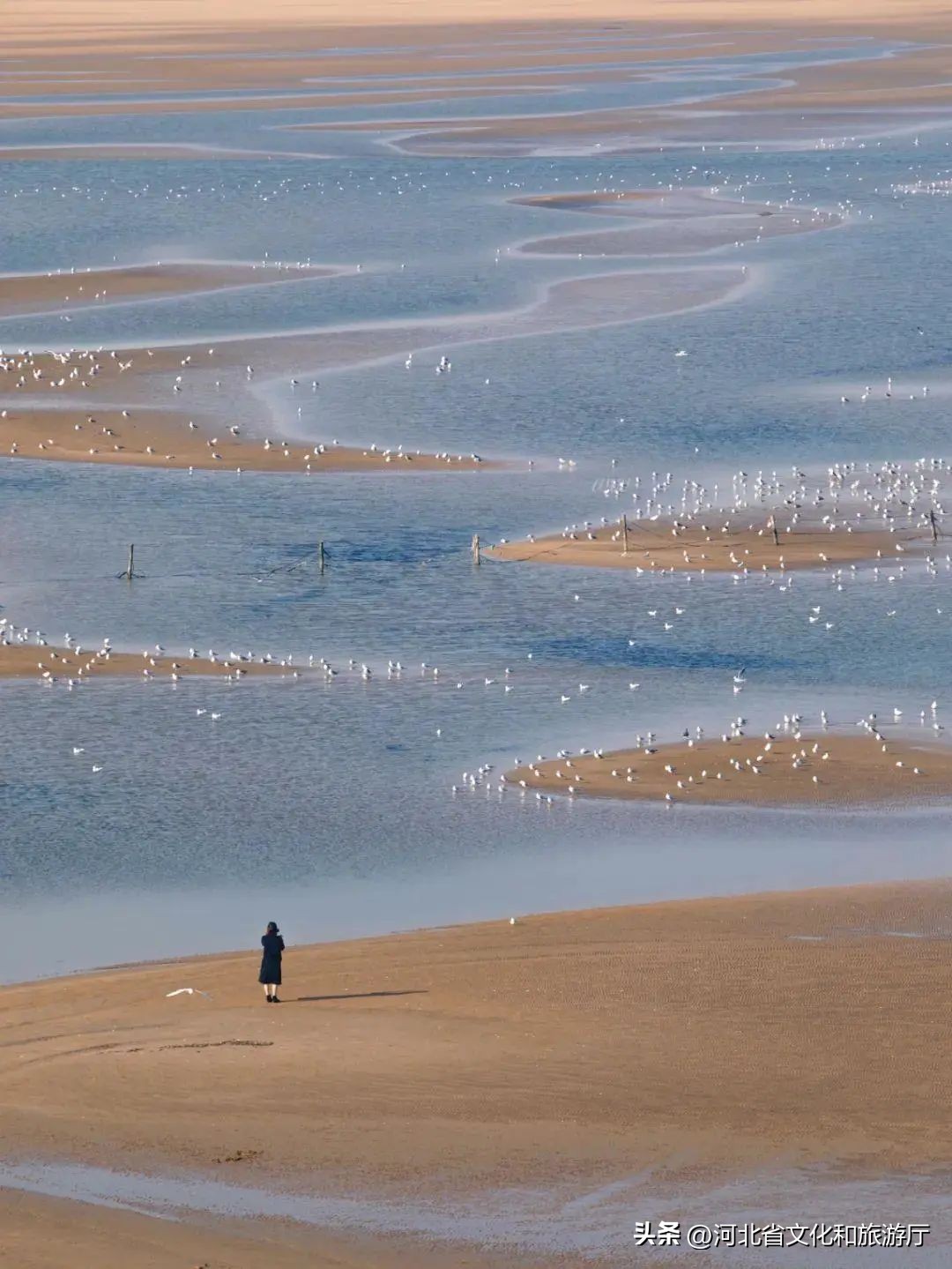 全国地形地貌最齐全的省份,全国地貌最全的省份