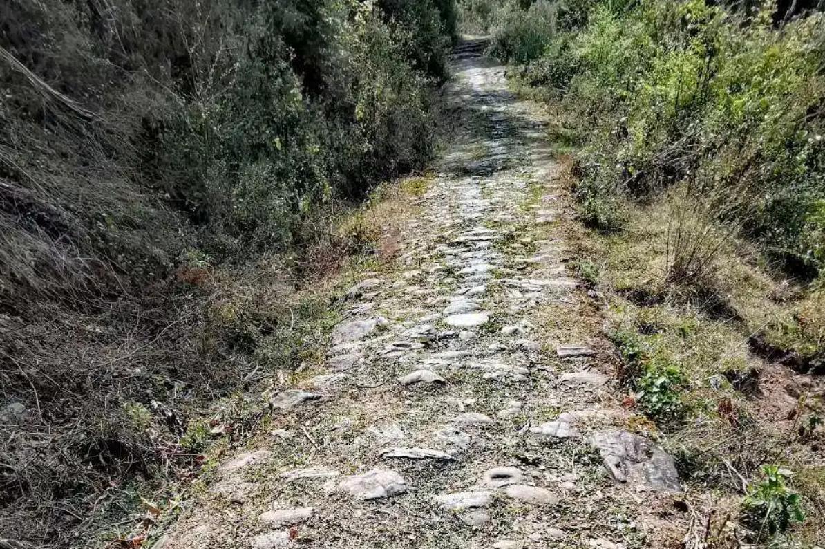 大理南诏时期云南文化特点,南诏国与佛教的关系