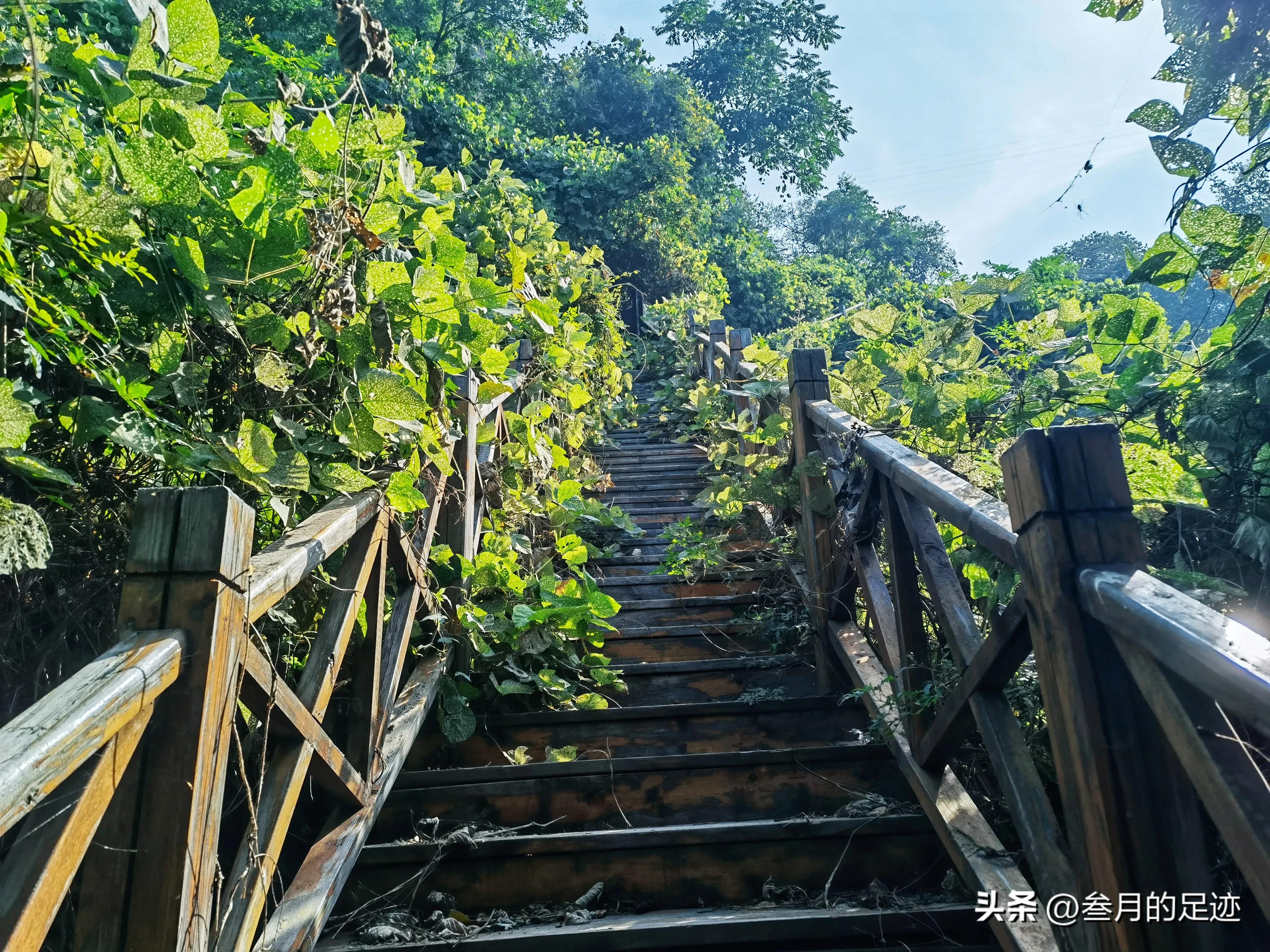 房山红叶最佳地点木栈道,北京房山森林游玩地方推荐