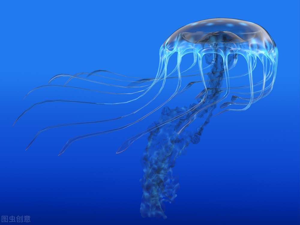 猫头鹰助眠,猫头鹰睡眠法