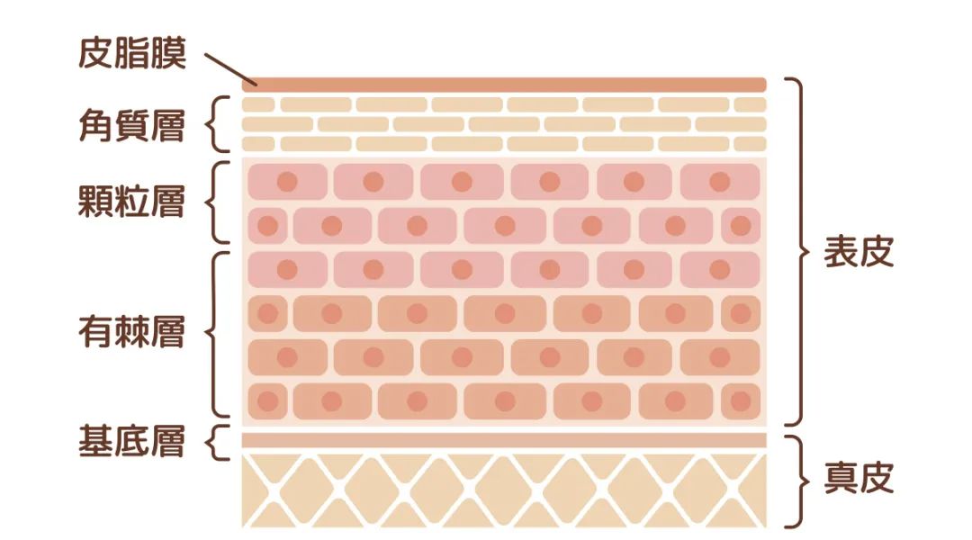 水上乐园妇科病,有妇科病能去水上乐园玩吗