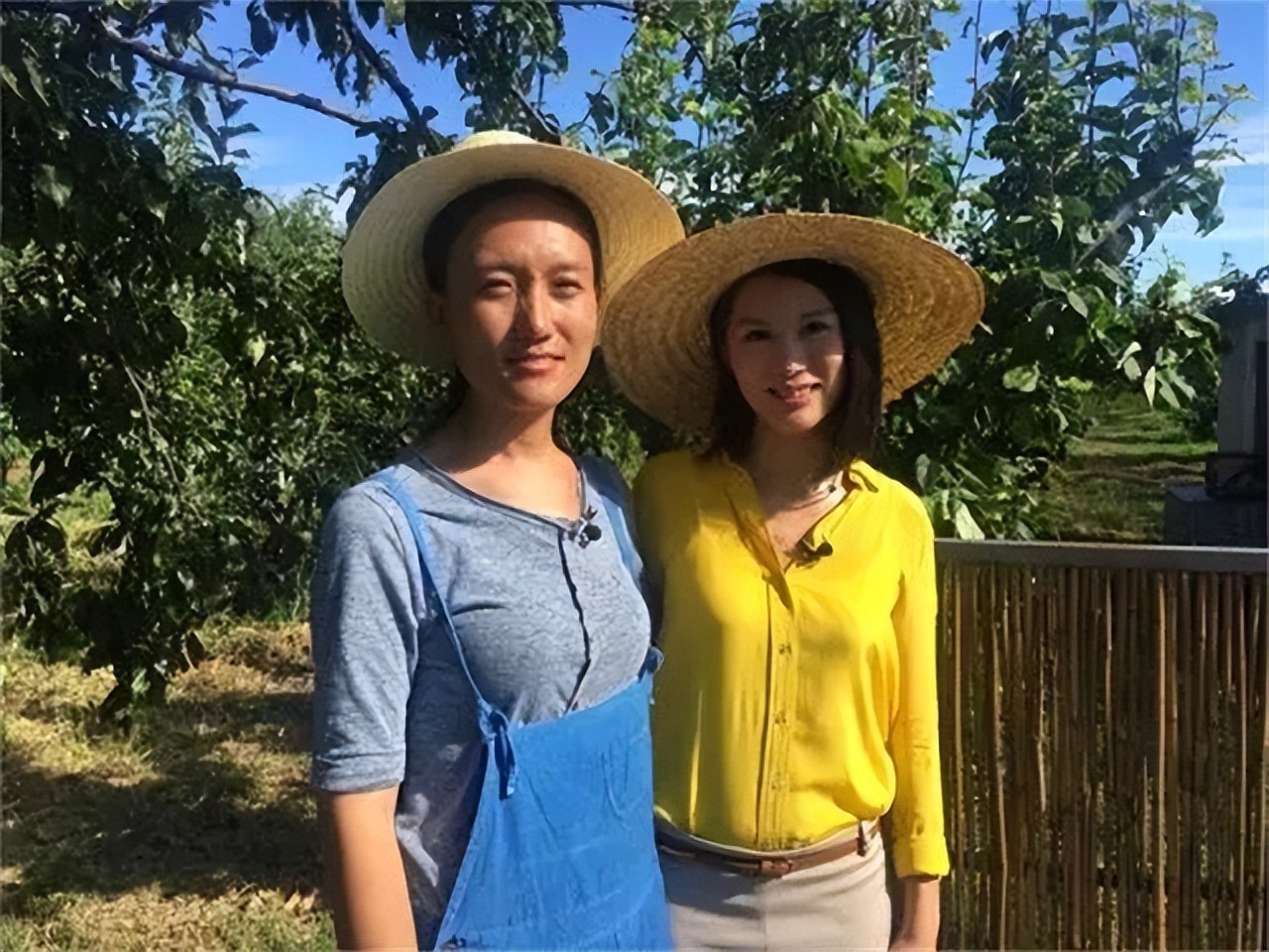 清华女博士放弃高薪工作,清华女生放弃百万年薪去乡村教书