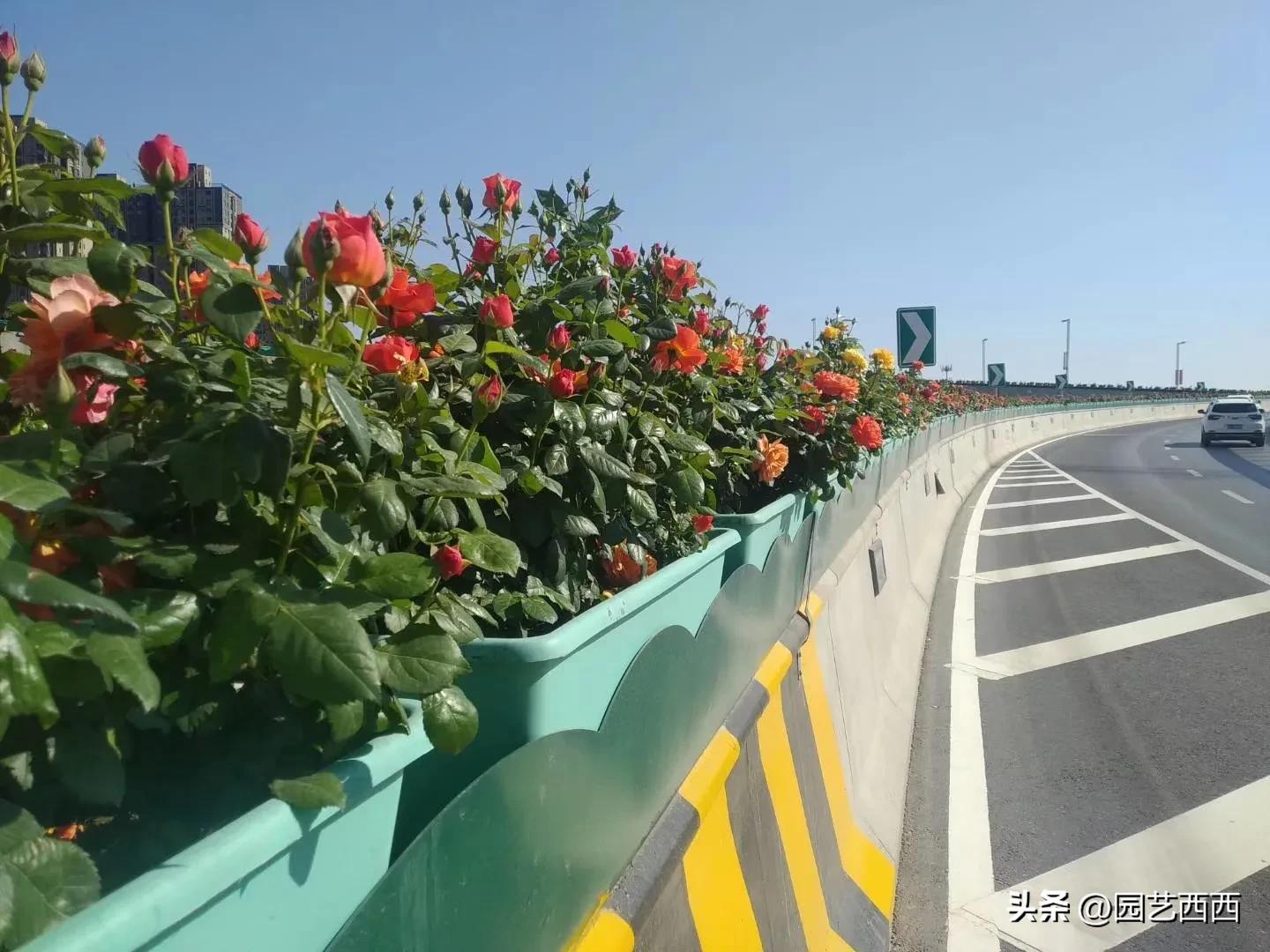 郑州牵动着全国人民的心,郑州人最想念的人