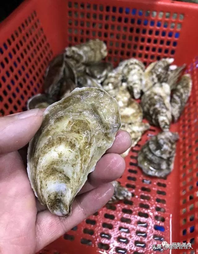 海鲜贝类品种大全及名字,22种海鲜贝类做法大全