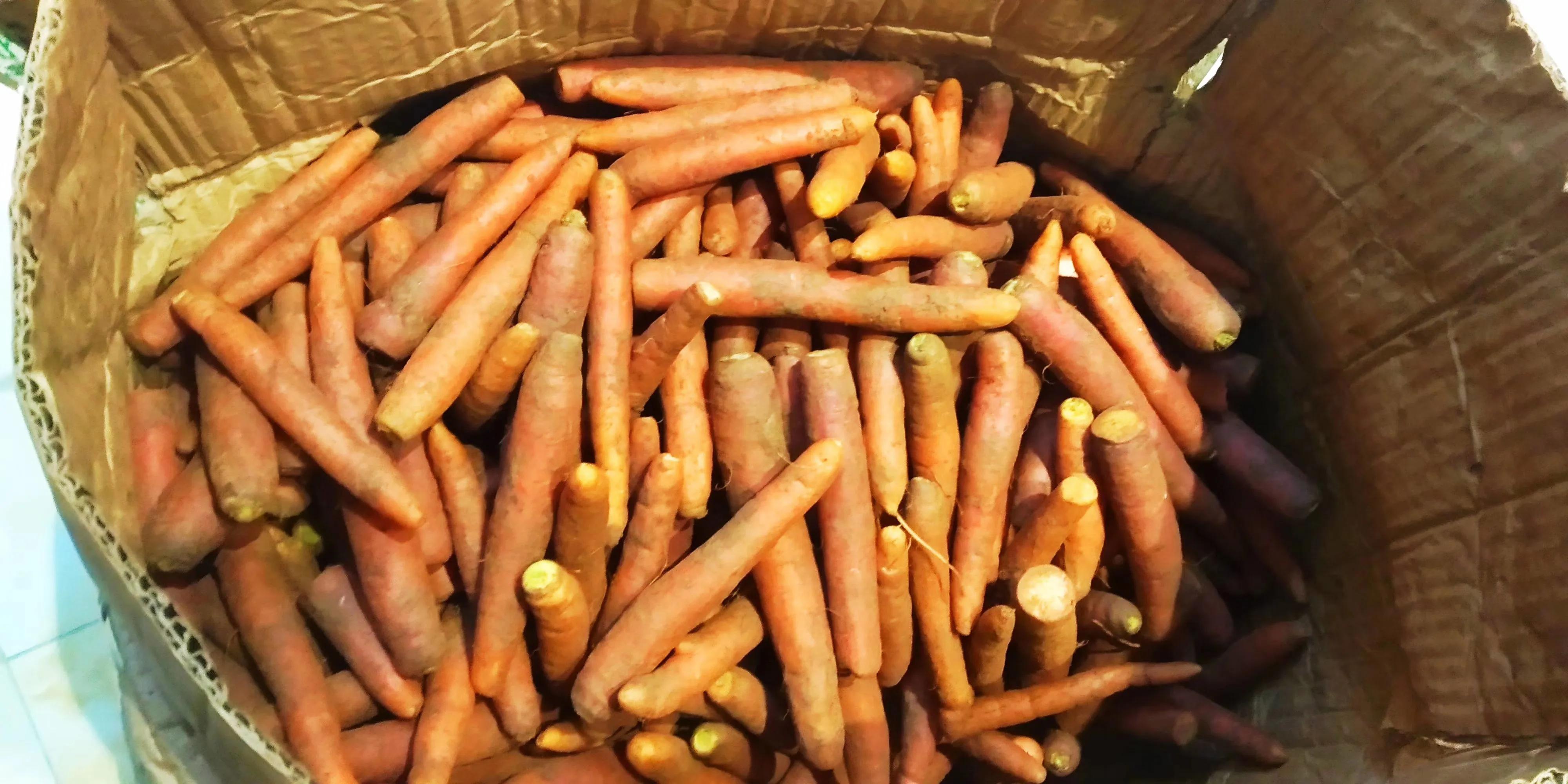 不会洗泡菜坛的女子嫁不掉！四川泡菜的滋味你尝过吗？