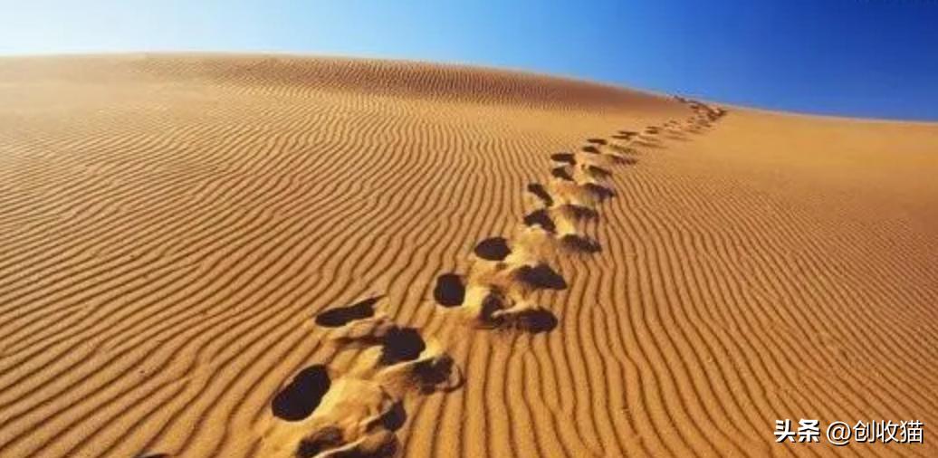 一年之内做好零收入的准备,劝大家做好一年内零收入的准备