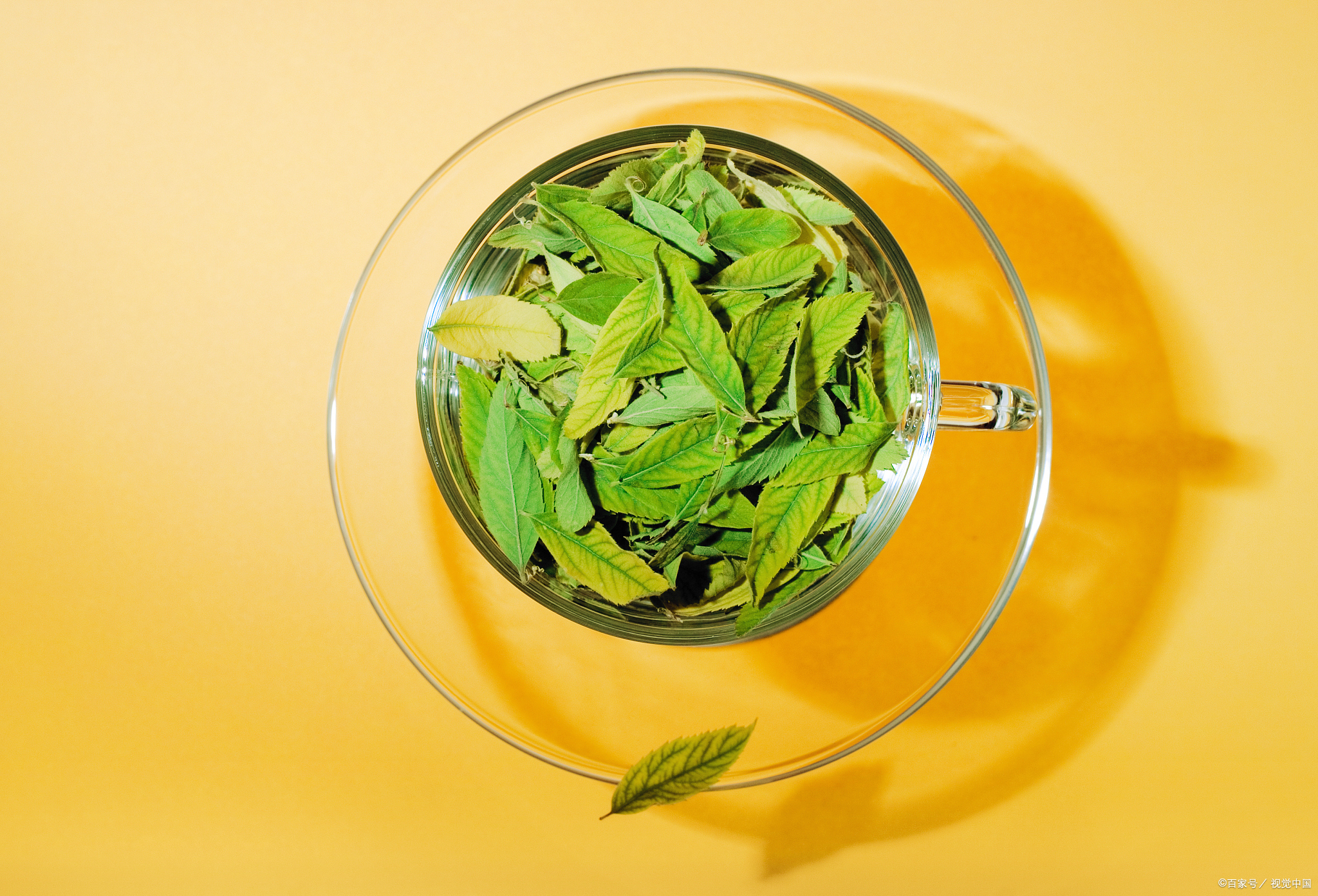 同样的茶叶为什么弄出来红茶绿茶,茶为什么有红茶绿茶之分