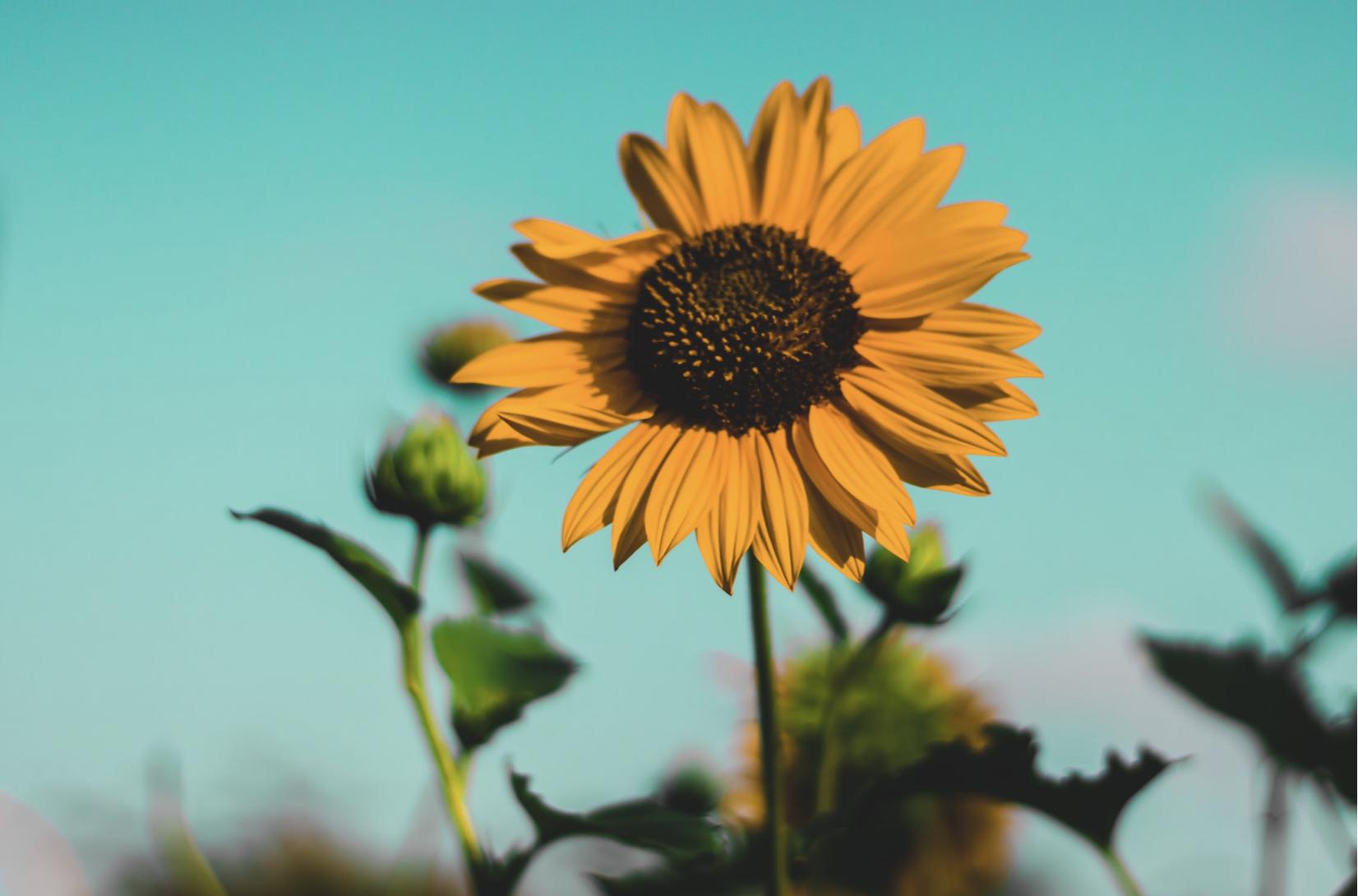 知乎：30岁还背MK丢人吗？