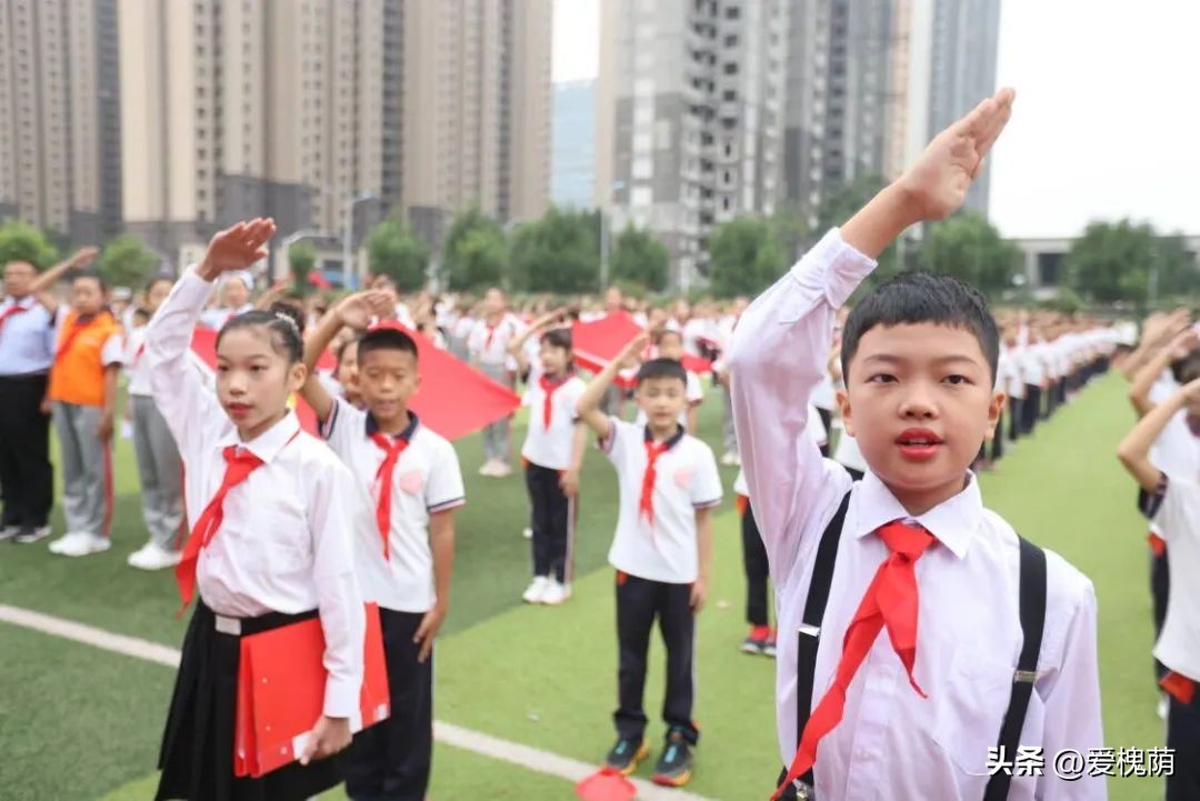 槐荫大金小学,槐荫区大金小学片区