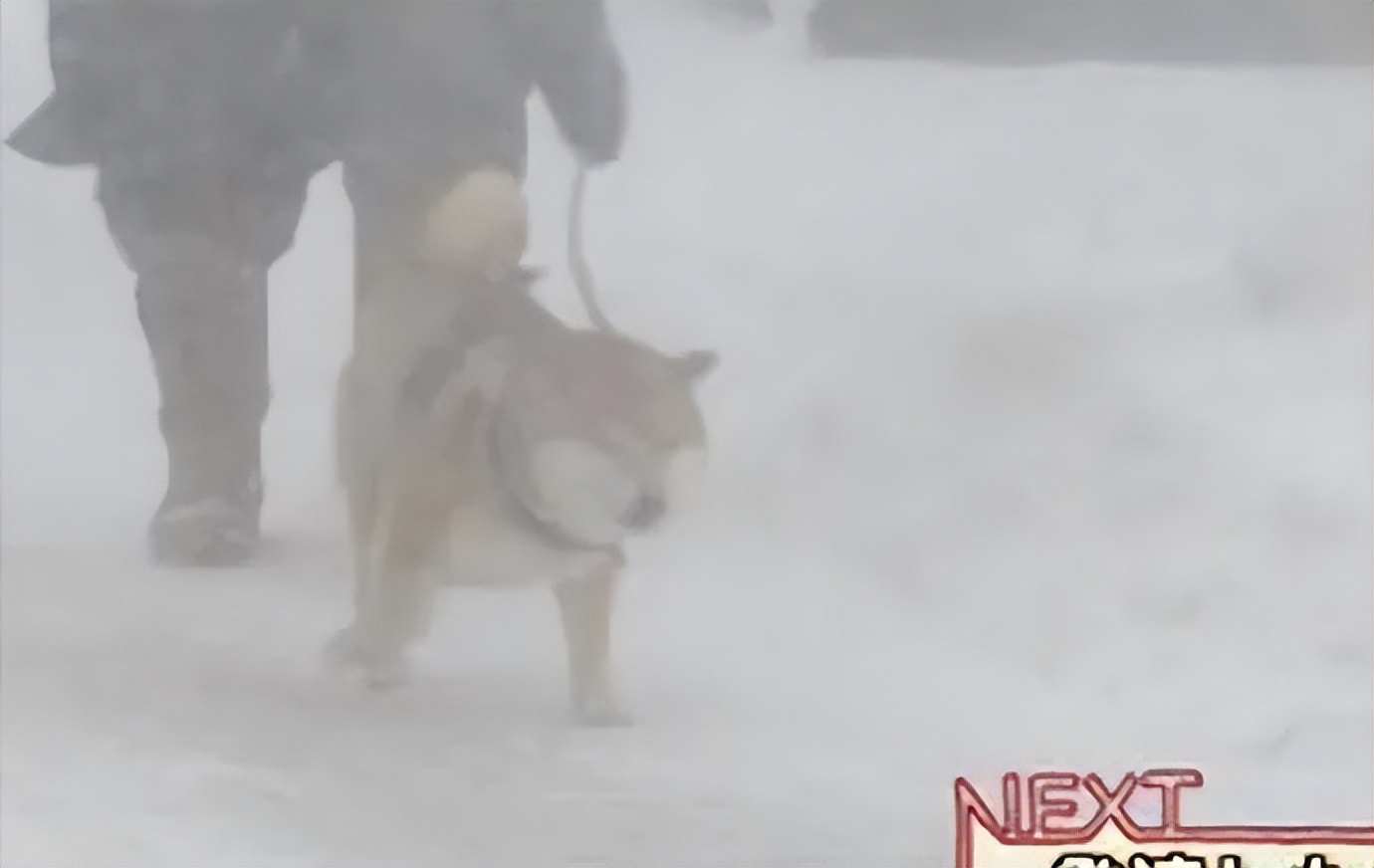 谐音梗搞笑段子全部,谐音梗搞笑的段子