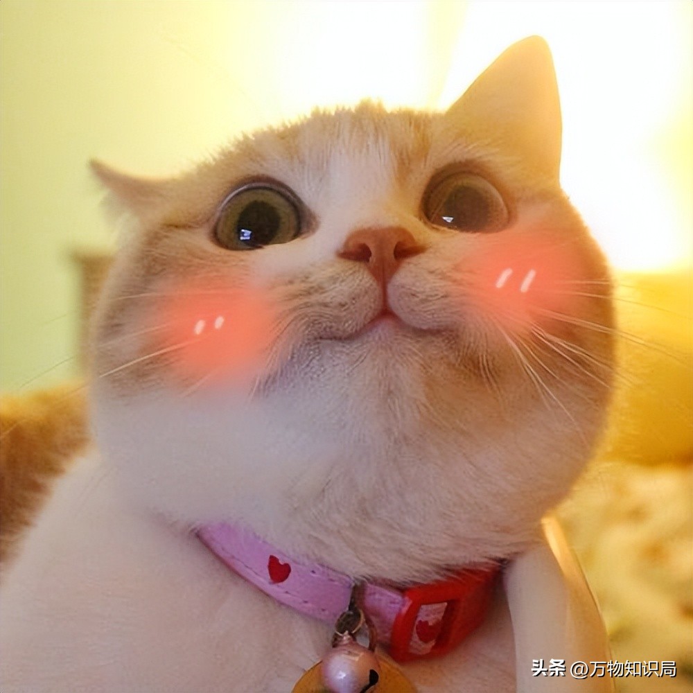 男人几岁生理开始衰退怎么调理,男人生理衰退应该在什么年龄