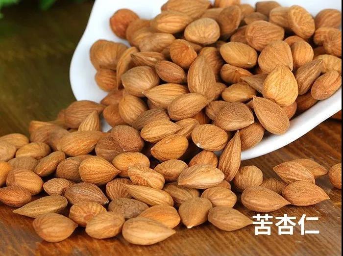 每天学习一味中药枇杷叶,每天学习一味中药