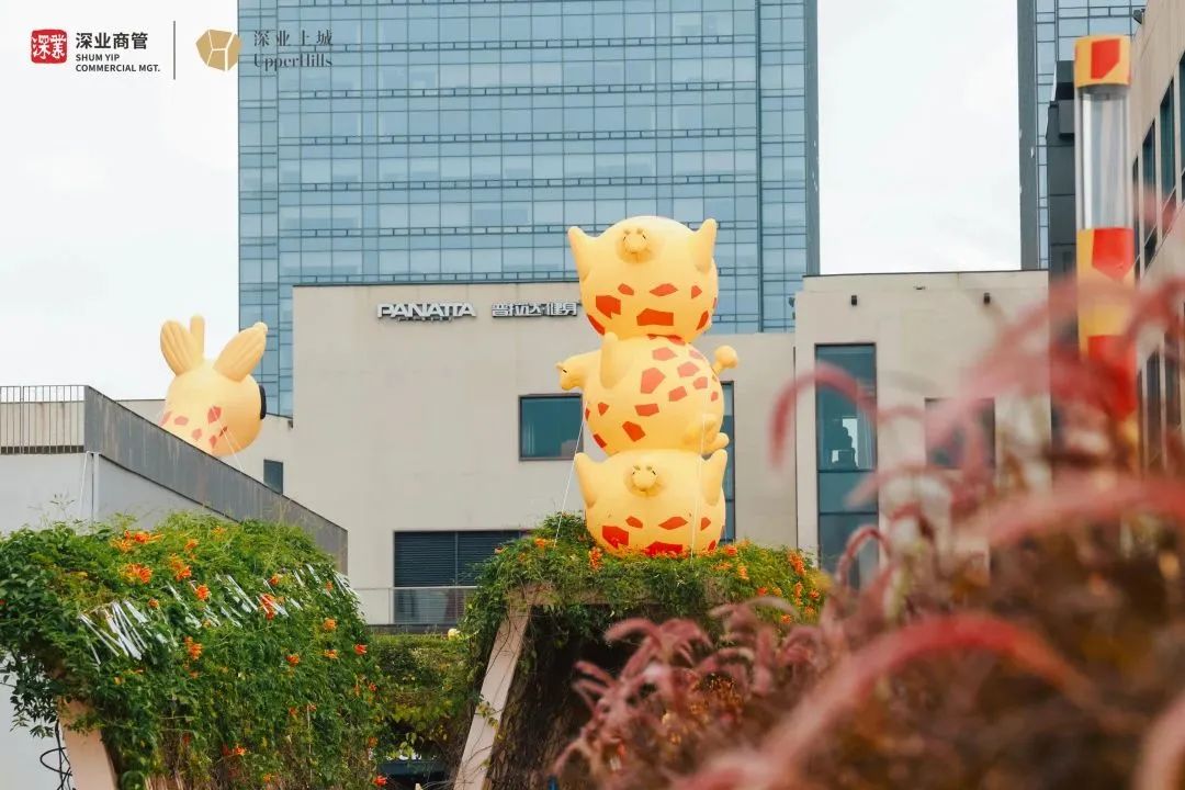 棣欐腐娣卞湷鍙嶅悜璐墿鏀荤暐,棣欐腐娣卞湷鍙嶅悜璐墿