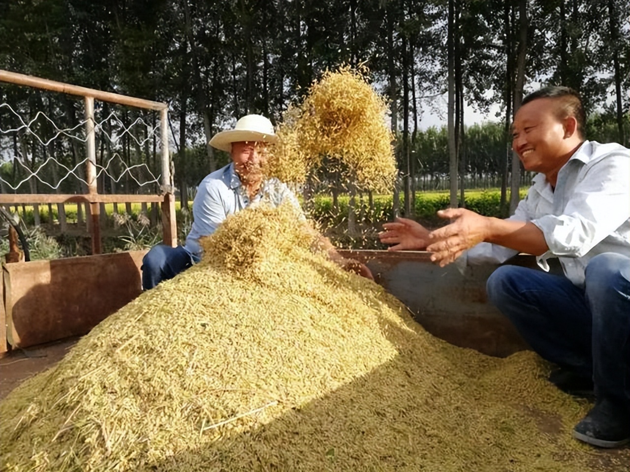 农民丰收节,玉田农民丰收节