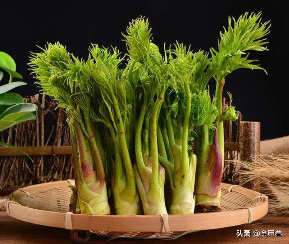 正宗老东北美食,二十多年的老东北美食