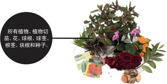 新西兰不能带什么入境,入境新西兰不可以带什么