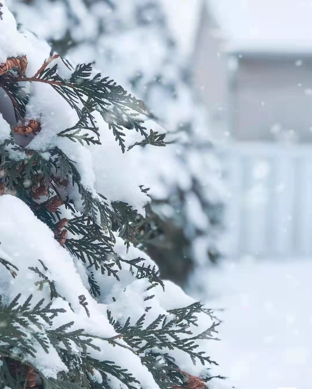 找侦探调查婚外情有什么风险,找私家侦探拍证据