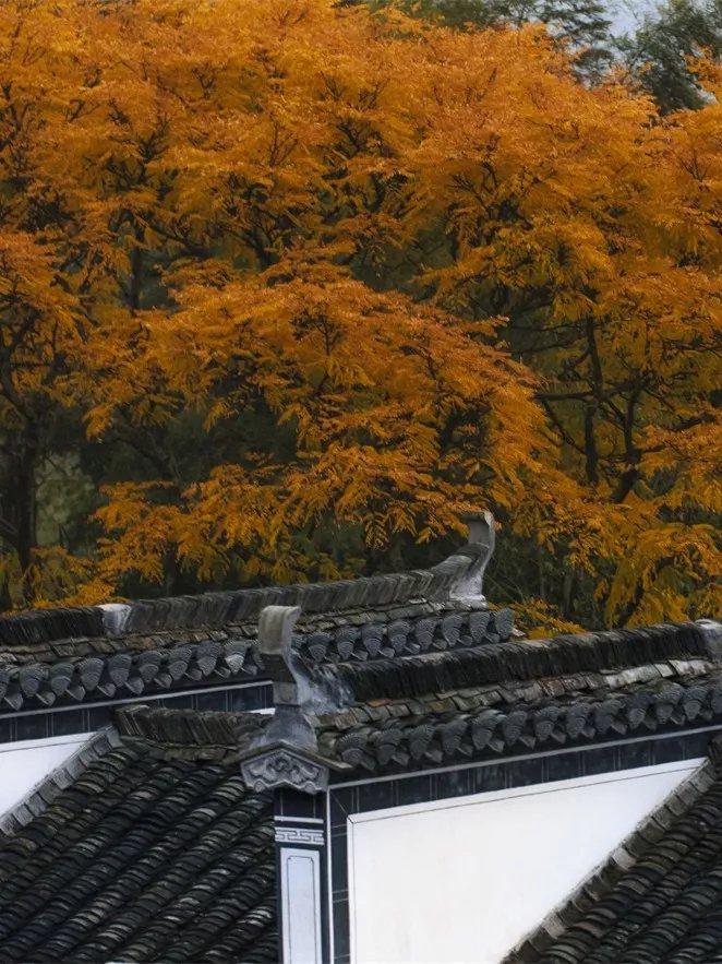 徽州最值得去的古村落,一生痴绝处无梦到徽州图片