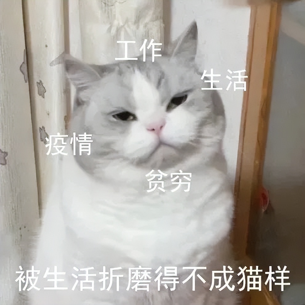 20万开店日营业额仅79元创业失败,20万投资实体店生意惨淡