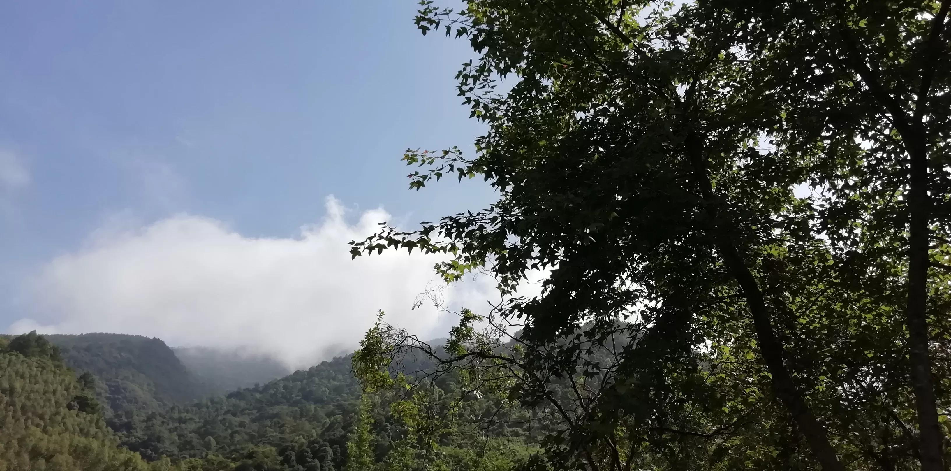 溯溪攀爬,溯溪徒步露营