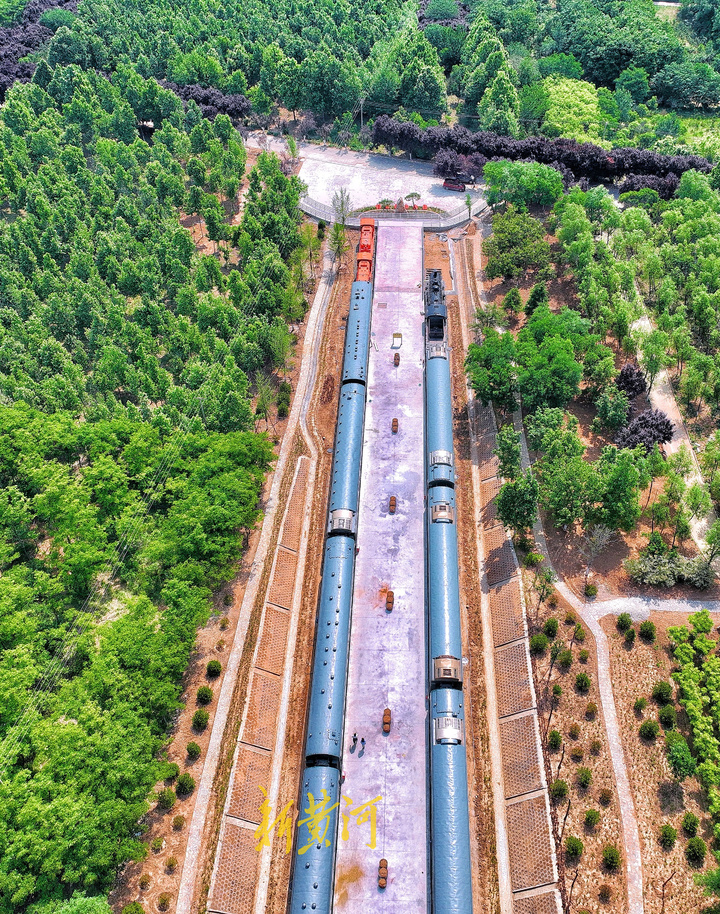 济南网红打卡地樱花大道火车,济南24小时打卡网红圣地