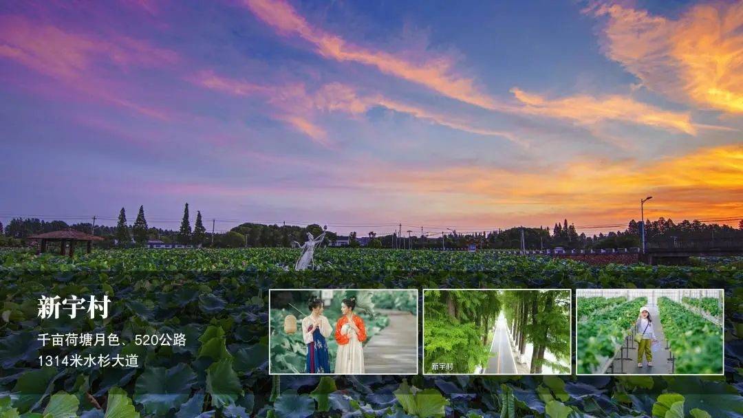 临平五一假期适合去玩的地方,杭州临平区五一假期