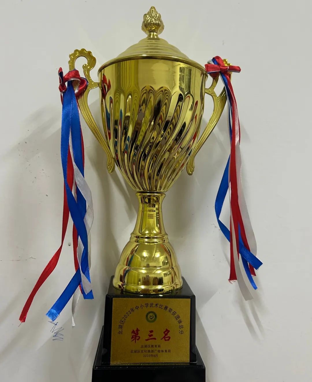 南燕小学,郴州市南燕小学成绩排名