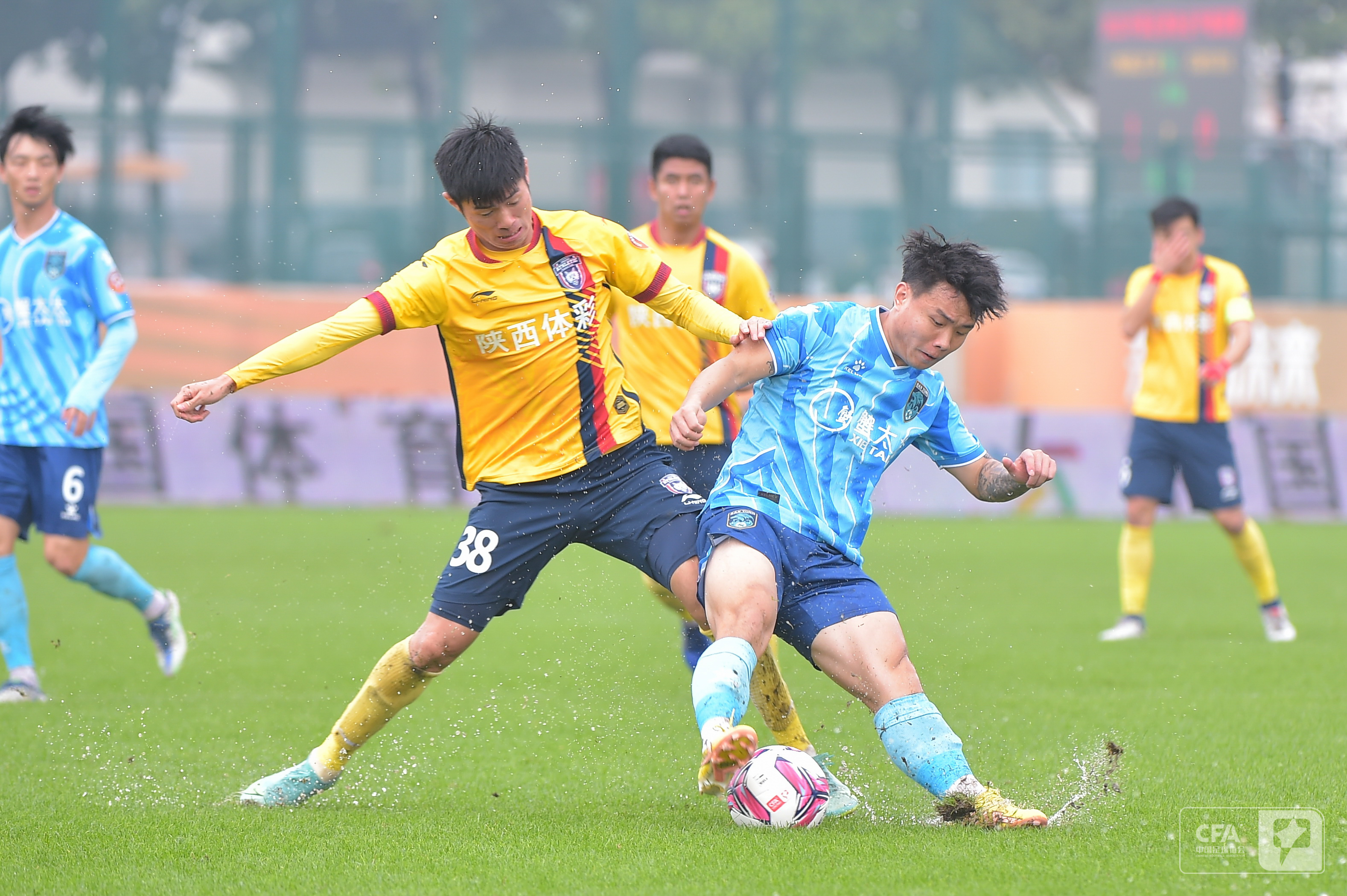 两狼对决,两狼相争剧情