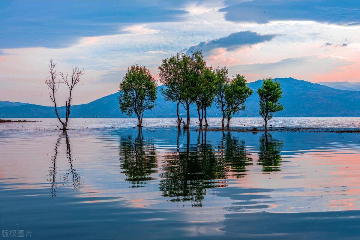 职场表态发言怎么说,职场中怎么有效表达自己的想法