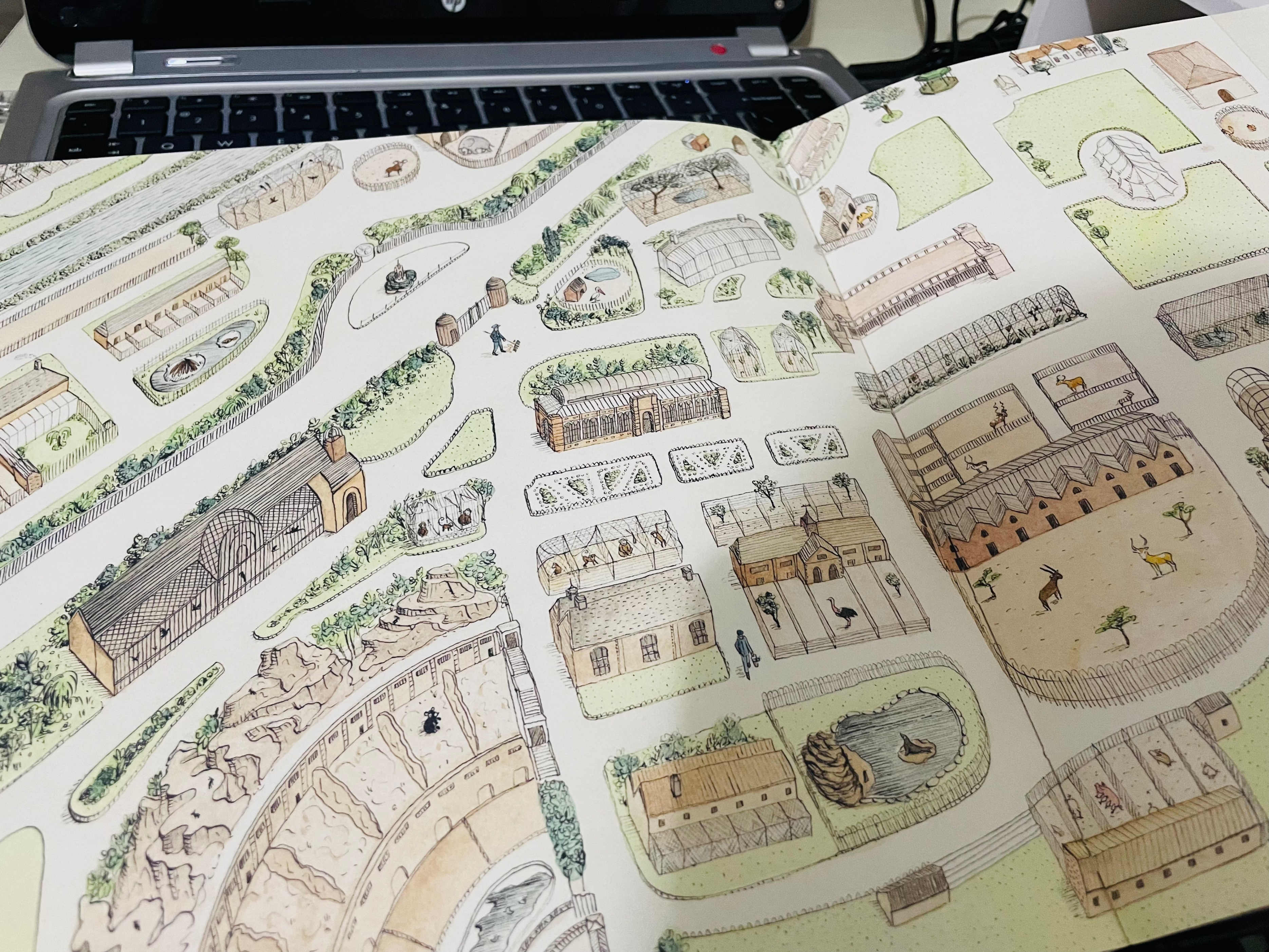 《小熊维尼》的原型，是一只在战争中与父母走失的棕熊