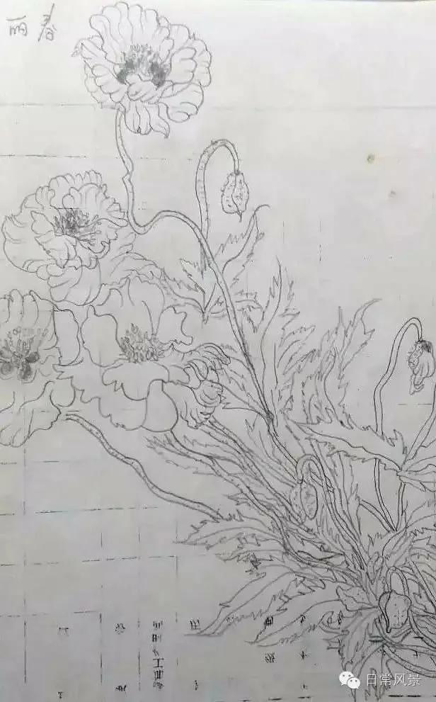 婆婆画画,婆婆画画教程