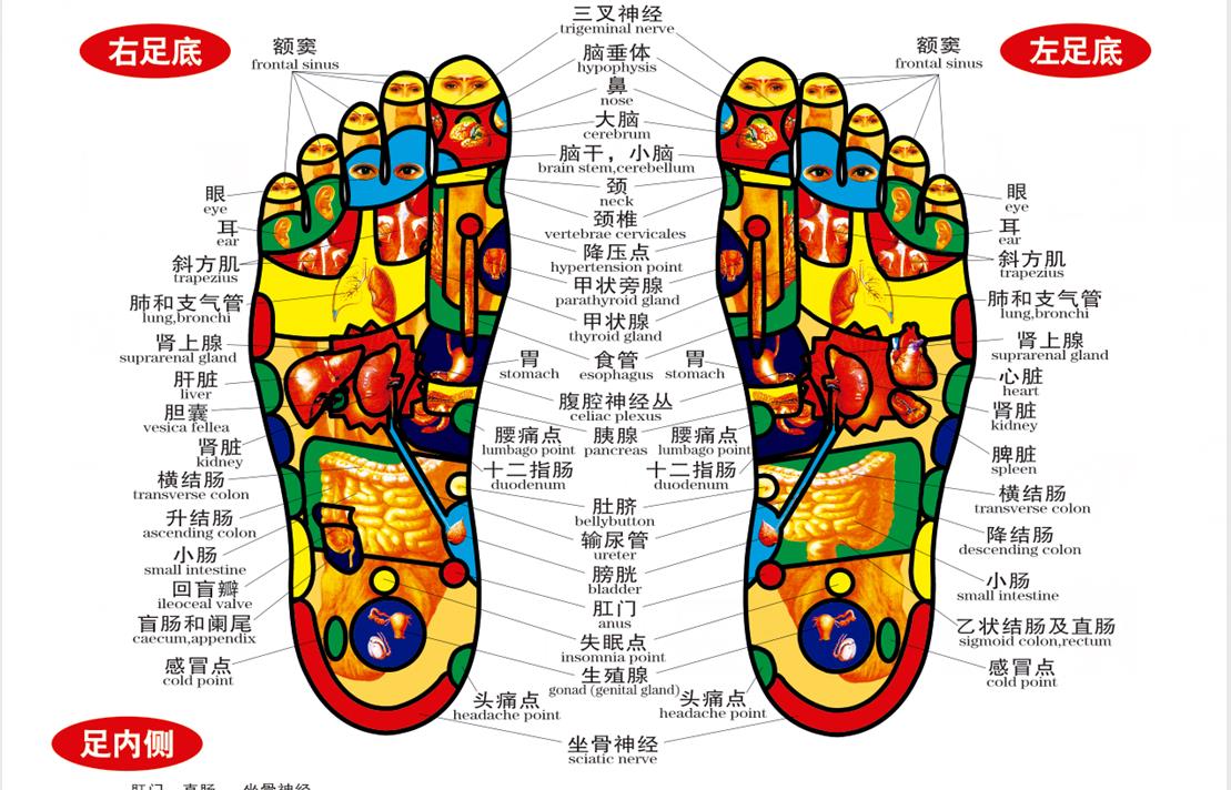 足疗按摩袜发明人老杨：揭秘古人智慧，实现的高效足疗按摩技术