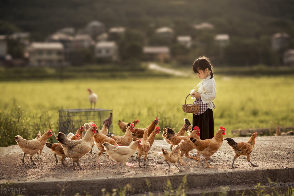 国内最值得自驾的七条绝美路线,此生必去的中国100个攻略