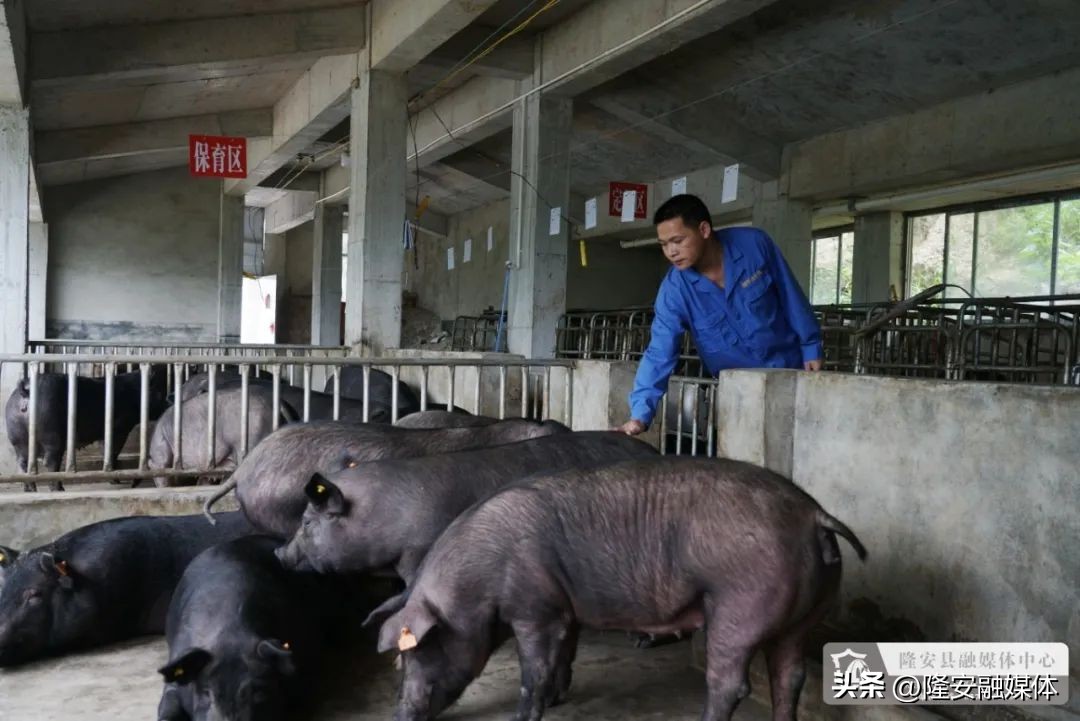 隆安都结村,隆安县都结村