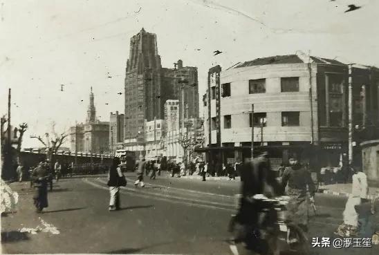 佘爱珍张爱玲,佘爱珍解密