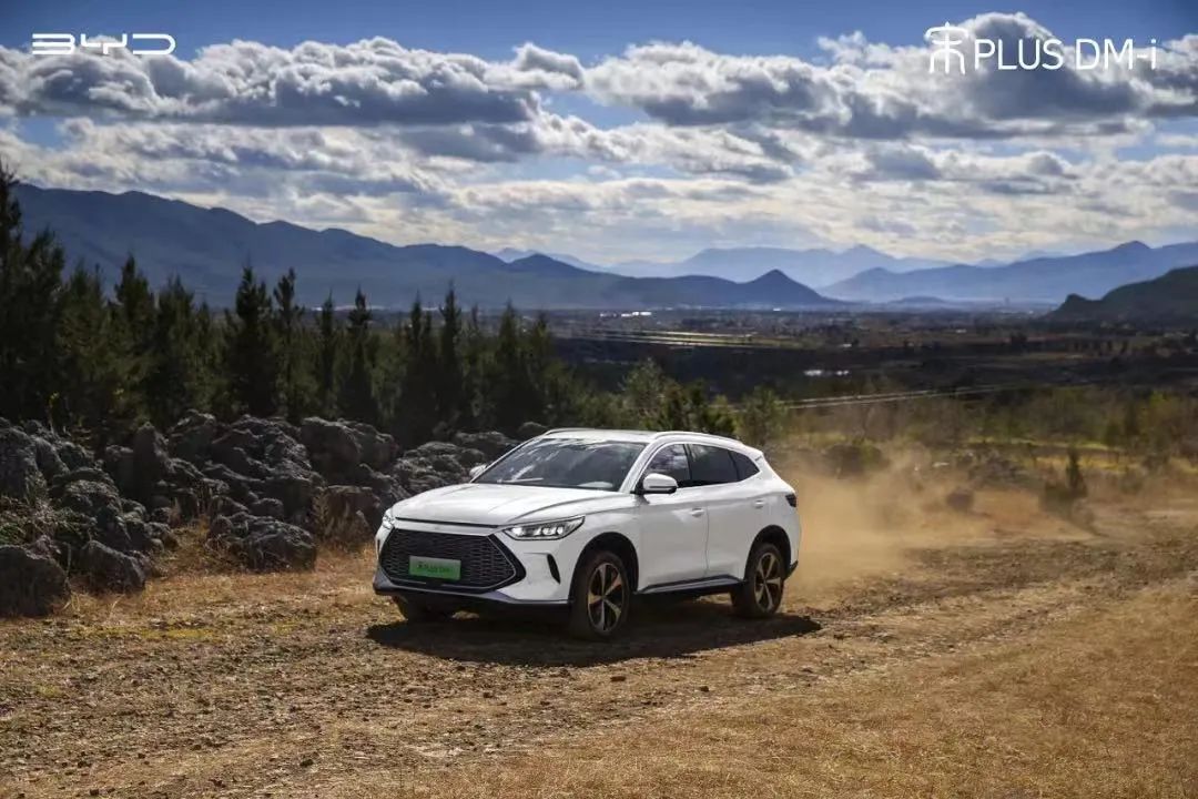 比亚迪杀疯，问界黑马，牛创退场，雷丁举报……|汽车商业评论